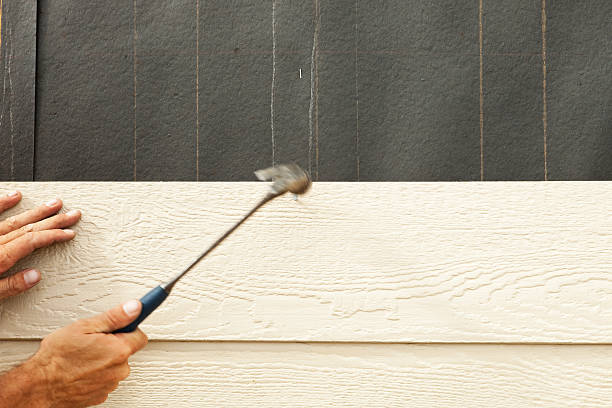Best Vinyl Siding Installation  in Paradise Valley, AZ